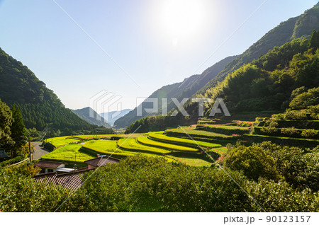 番所の棚田「秋空を背景に棚田と彼岸花風景」(観光地)日本・九州・熊本県山鹿市 番所の棚田「秋空を背景に棚田と彼岸花風景」(観光地)日本・九州・熊本県山鹿市 90123157