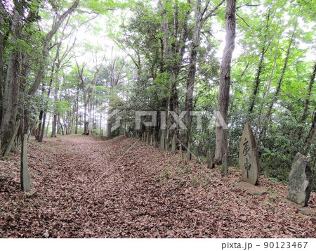 仙元山 百庚申 仙元山 百庚申 90123467