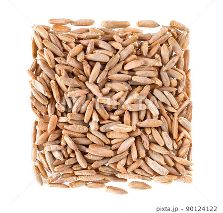 Rye grains isolated on white background. Pile of rye malt seeds close up. Dry grains of winter rye. Top view. 90124122