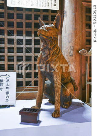 宝積山　光前寺　霊犬早太郎の木像 90125618