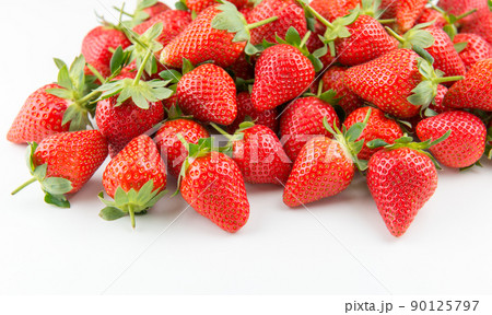 イチゴ いちご 苺 90125797