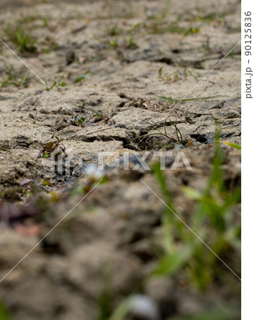 【イメージ素材】干ばつしてひび割れた畑 90125836