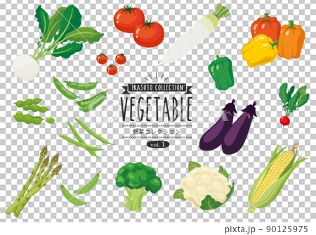 野菜コレクション_01 90125975