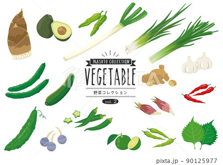 野菜コレクション_02 90125977