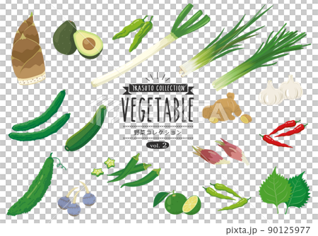 野菜コレクション_02 90125977