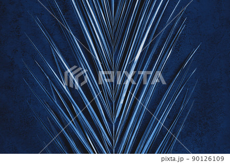 closeup of metallic palm leaf on dark blue background 90126109