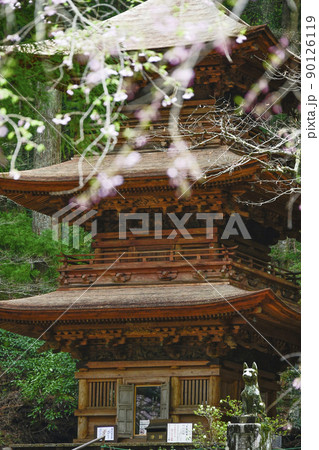 春の宝積山　光前寺　三重塔 90126119