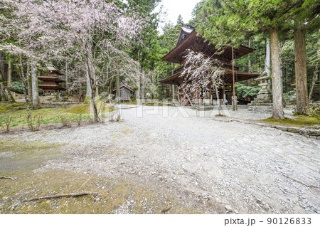 宝積山 光前寺 三門と三重塔 宝積山 光前寺 三門と三重塔 90126833