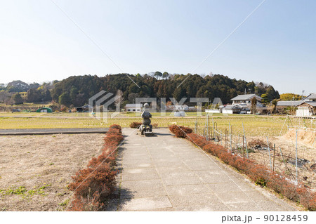 入鹿の首塚といわれる五輪塔 入鹿の首塚といわれる五輪塔 90128459