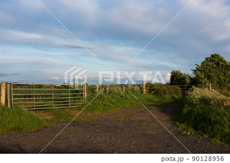 Farm Entrance and Field Gates on a Spring Afternoon Farm Entrance and Field Gates on a Spring Afternoon 90128956