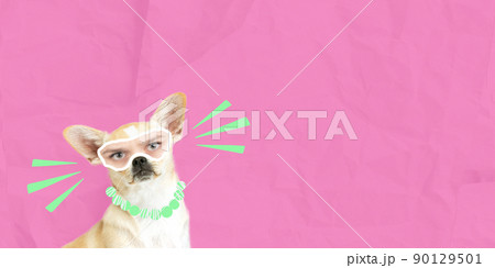 Contemporary art collage. Funny image of dog's muzzle with human eyes element isolated over pink background Contemporary art collage. Funny image of dog's muzzle with human eyes element isolated over pink background 90129501