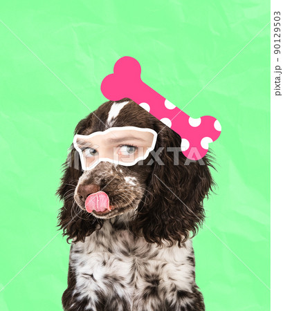 Contemporary art collage. Cute dog's muzzle with female eyes element isolated over green background Contemporary art collage. Cute dog's muzzle with female eyes element isolated over green background 90129503