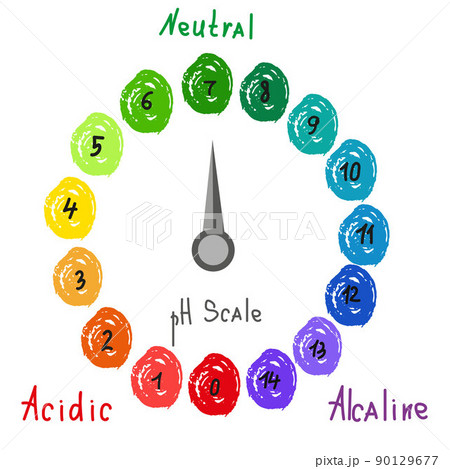 Round pH scale for measuring acid alkaline balance. Chemical value test. Doodle infographics with indicator chart. Hand drawn vector illustration Round pH scale for measuring acid alkaline balance. Chemical value test. Doodle infographics with indicator chart. Hand drawn vector illustration 90129677