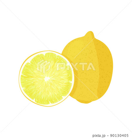 Fresh lemon fruit illustration. Isolated on white background. 90130405