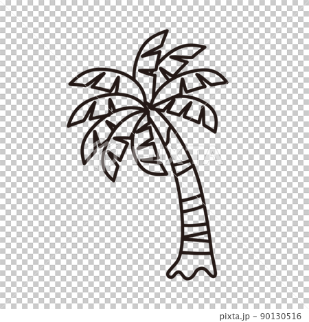 Line drawing illustration of cute palm tree Line drawing illustration of cute palm tree 90130516