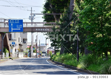 大磯町 東海道(国道1号線)松並木と新緑と歩道橋 大磯町 東海道(国道1号線)松並木と新緑と歩道橋 90130663