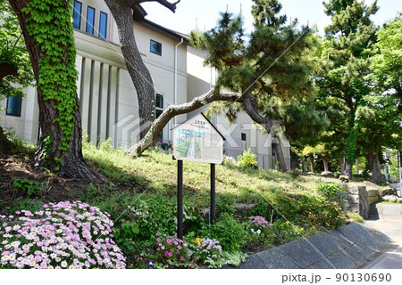 大磯町 東海道(国道1号線)松並木と大磯宿上方見附案内板 大磯町 東海道(国道1号線)松並木と大磯宿上方見附案内板 90130690