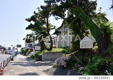大磯町　東海道（国道1号線）松並木と大磯宿上方見附案内板 90130691