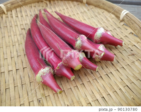 赤オクラ 90130780