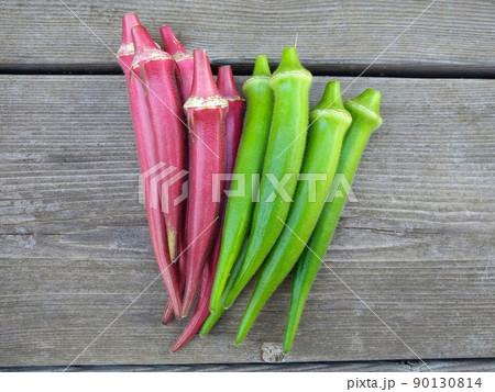 オクラと赤オクラ 90130814