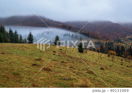 Cloudy and foggy early morning autumn mountains scene. Peaceful picturesque traveling, seasonal, nature and countryside beauty concept scene. Carpathian Mountains, Ukraine. Cloudy and foggy early morning autumn mountains scene. Peaceful picturesque traveling, seasonal, nature and countryside beauty concept scene. Carpathian Mountains, Ukraine. 90131069
