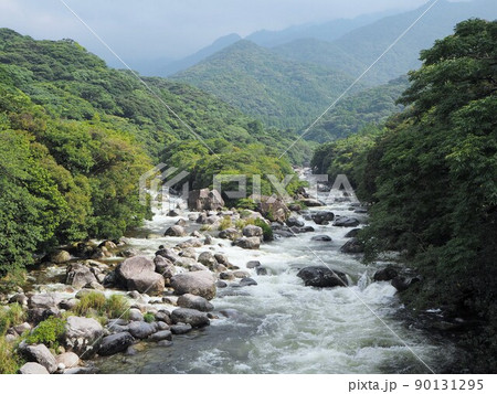 屋久島の横河渓谷の景色 90131295