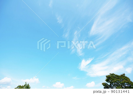 初夏の青空と森 90131441