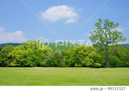 五月・奈良公園・飛火野の緑 五月・奈良公園・飛火野の緑 90131527