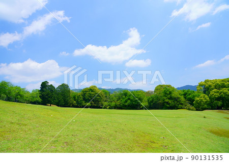 五月・奈良公園・飛火野の緑 五月・奈良公園・飛火野の緑 90131535