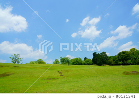 五月・奈良公園・飛火野の緑 五月・奈良公園・飛火野の緑 90131541