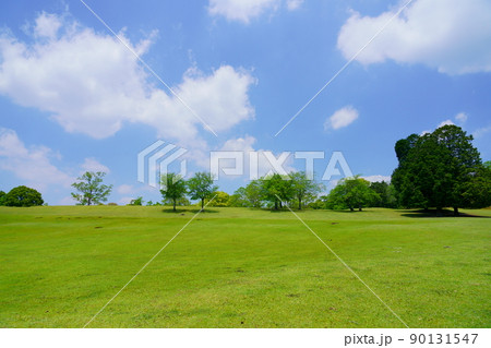 五月・奈良公園・飛火野の緑 五月・奈良公園・飛火野の緑 90131547