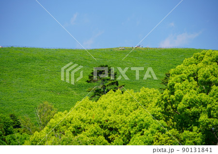 五月・爽やかな奈良公園・春日野園地から若草山を望遠 90131841