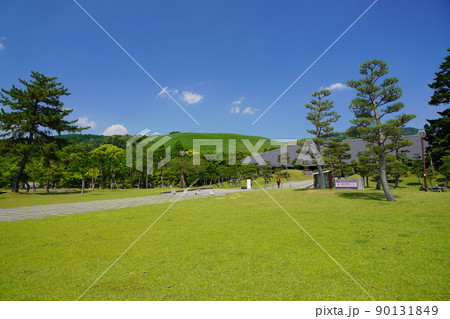五月・爽やかな奈良公園・浮雲園地から奈良国際フォーラム 五月・爽やかな奈良公園・浮雲園地から奈良国際フォーラム 90131849