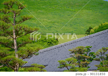 五月・爽やかな奈良公園・浮雲園地から奈良国際フォーラム 五月・爽やかな奈良公園・浮雲園地から奈良国際フォーラム 90131850