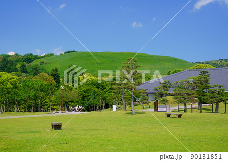 五月・爽やかな奈良公園・浮雲園地から奈良国際フォーラム 五月・爽やかな奈良公園・浮雲園地から奈良国際フォーラム 90131851