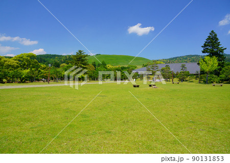 五月・爽やかな奈良公園・浮雲園地から奈良国際フォーラム 五月・爽やかな奈良公園・浮雲園地から奈良国際フォーラム 90131853