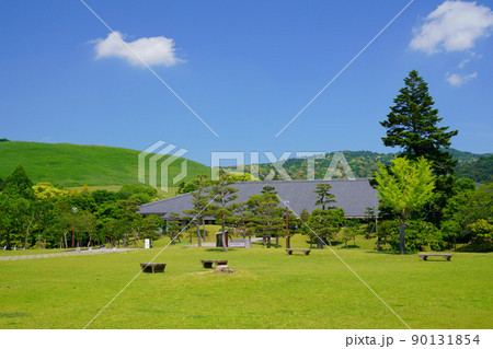五月・爽やかな奈良公園・浮雲園地から奈良国際フォーラム 五月・爽やかな奈良公園・浮雲園地から奈良国際フォーラム 90131854