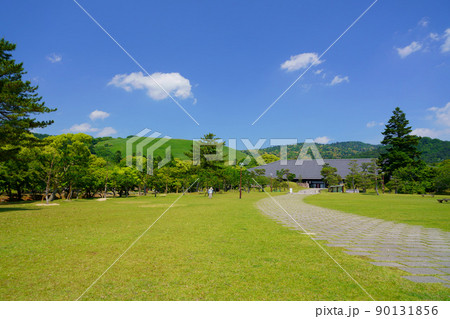 五月・爽やかな奈良公園・浮雲園地から奈良国際フォーラム 五月・爽やかな奈良公園・浮雲園地から奈良国際フォーラム 90131856
