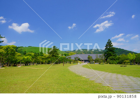 五月・爽やかな奈良公園・浮雲園地から奈良国際フォーラム 五月・爽やかな奈良公園・浮雲園地から奈良国際フォーラム 90131858
