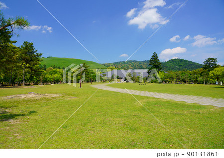 五月・爽やかな奈良公園・浮雲園地から奈良国際フォーラム 五月・爽やかな奈良公園・浮雲園地から奈良国際フォーラム 90131861
