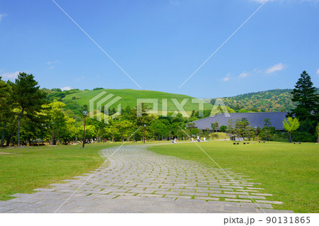 五月・爽やかな奈良公園・浮雲園地から奈良国際フォーラム 五月・爽やかな奈良公園・浮雲園地から奈良国際フォーラム 90131865