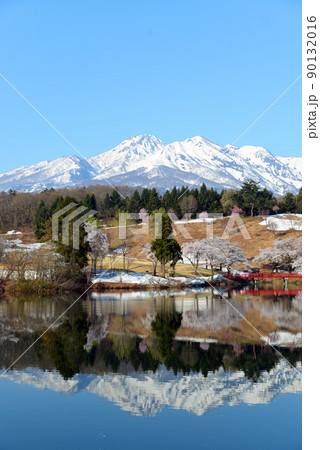 【新潟県上越市】松ヶ峯の桜と残雪の妙高山 90132016