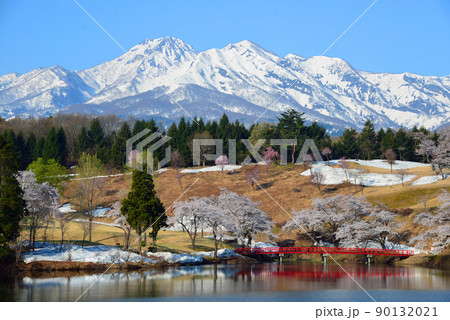 【新潟県上越市】松ヶ峯の桜と残雪の妙高山 90132021