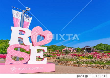 ぎふワールド・ローズガーデン、満開のバラ〈岐阜県可児市〉 90132816