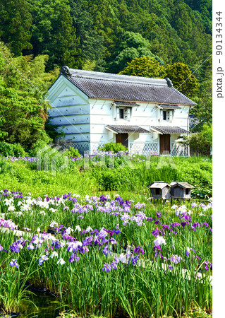静岡県 加茂荘花鳥園 菖蒲 90134344