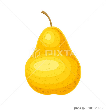 Whole Ripe Yellow Pear Pomaceous Fruit as Organic Garden Crop Vector Illustration 90134635