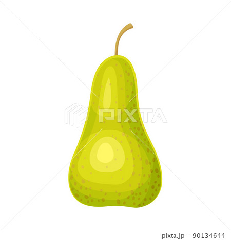 Whole Ripe Green Pear Pomaceous Fruit as Organic Garden Crop Vector Illustration 90134644