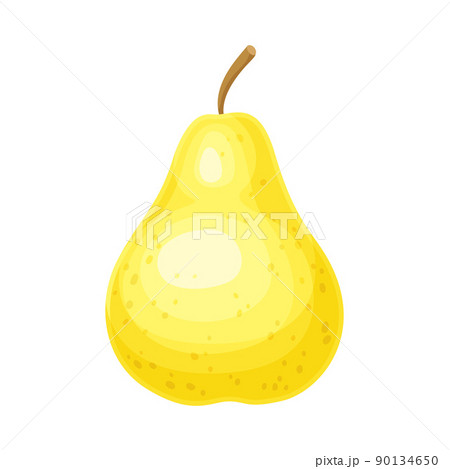 Whole Ripe Yellow Pear Pomaceous Fruit as Organic Garden Crop Vector Illustration 90134650