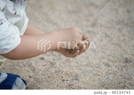 砂 すな 子供 90134745