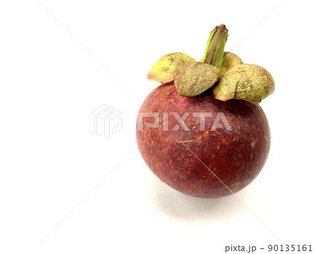 マンゴスチン 90135161